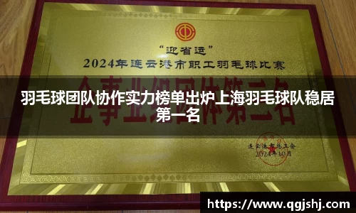 羽毛球团队协作实力榜单出炉上海羽毛球队稳居第一名
