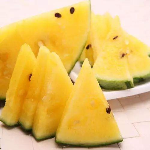 黑料吃黑瓜,黑料与黑瓜背后的真相