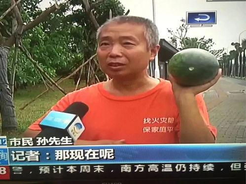 黑料热点事件 吃瓜,吃瓜群众如何应对信息爆炸时代