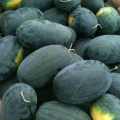 今日吃瓜每日大瓜独家黑料