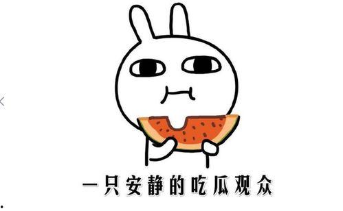 吃瓜视频黑料,真相与争议并存